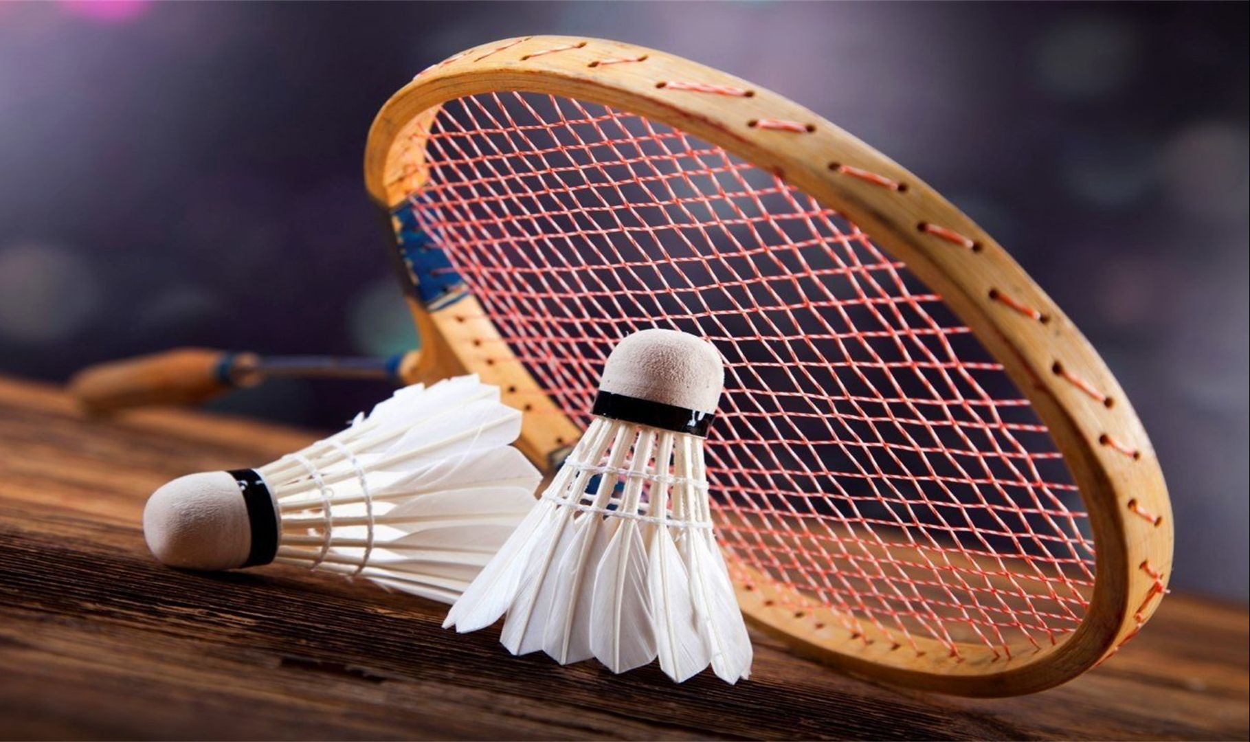 为掘金队赢 为掘金队赢